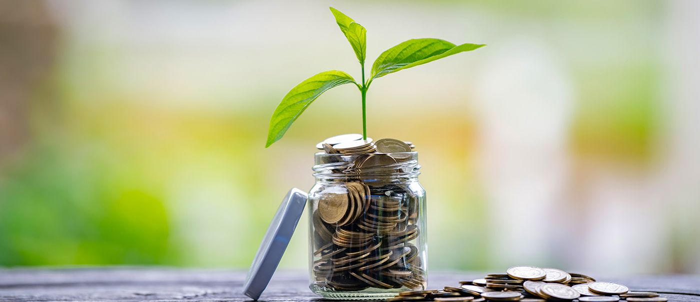 Estimular a poupança interna